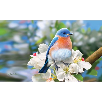 Stunning Bleubird